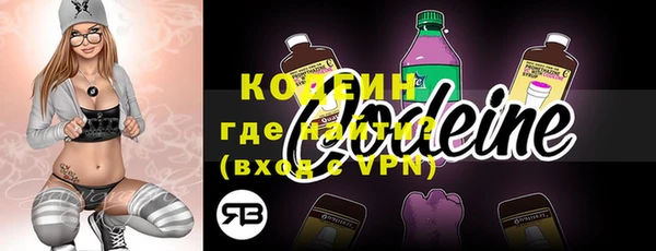 индика Горно-Алтайск