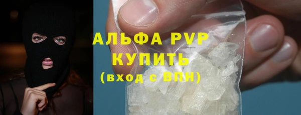 индика Горно-Алтайск