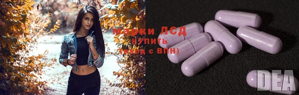 индика Горно-Алтайск